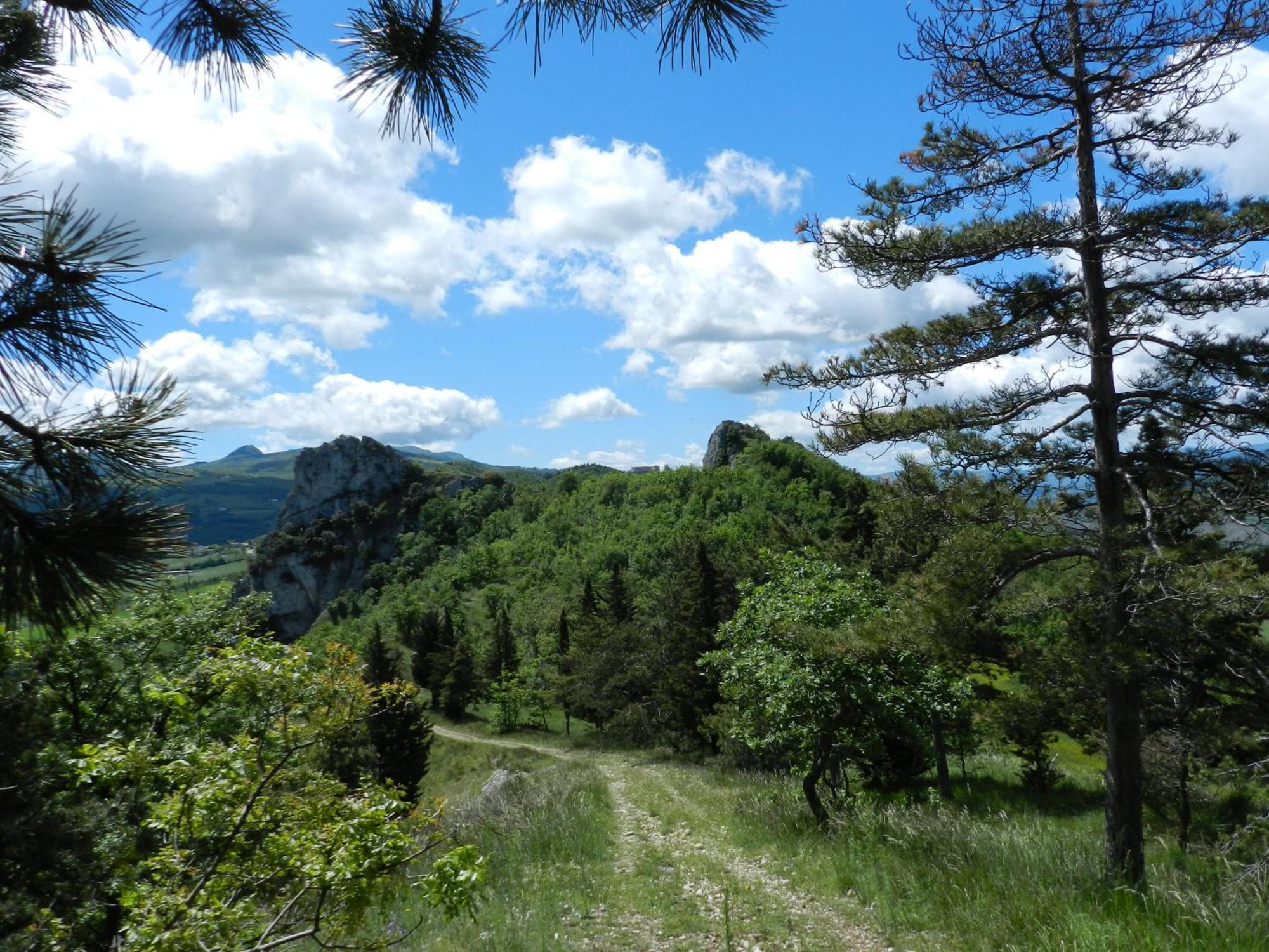 Villa Clara - Natura & Silenzio San Leo Zewnętrze zdjęcie